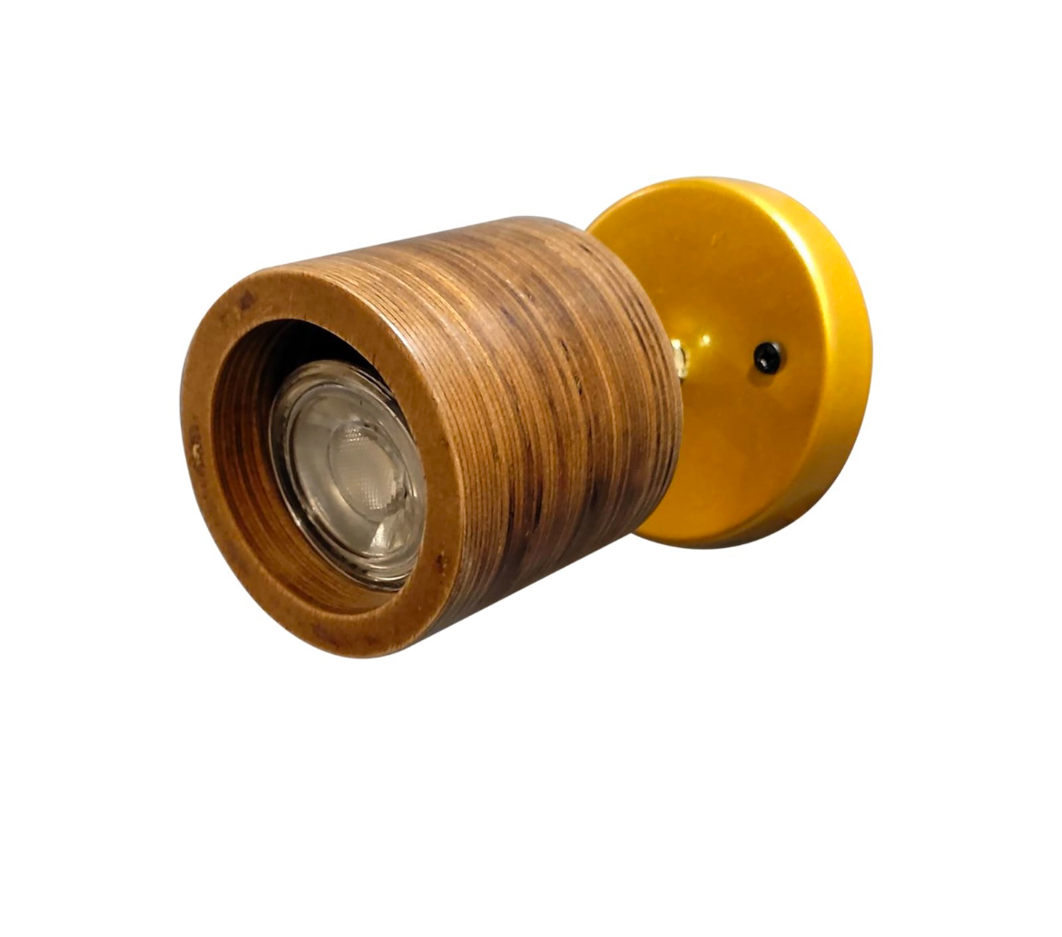 Ceiling Lamps